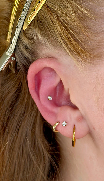 Conch