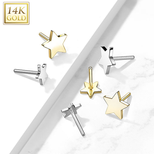 14K Star
