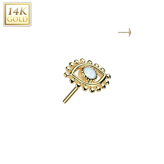 14k Eye