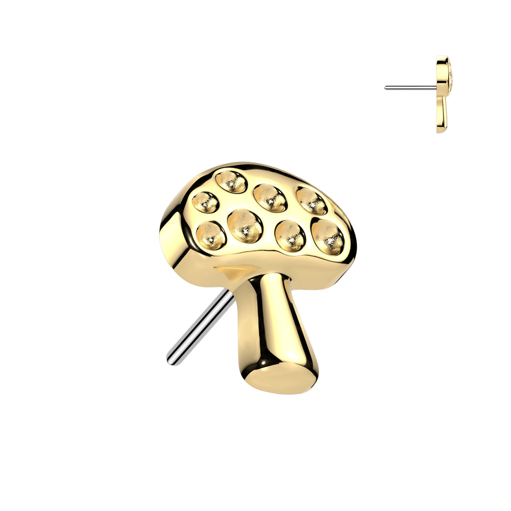 Mushroom