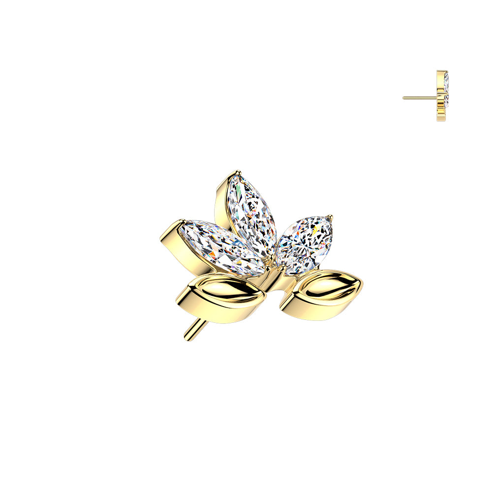 Lotus Flower